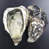 法國 占拉多 Gillardeau N2 (3.5寸)